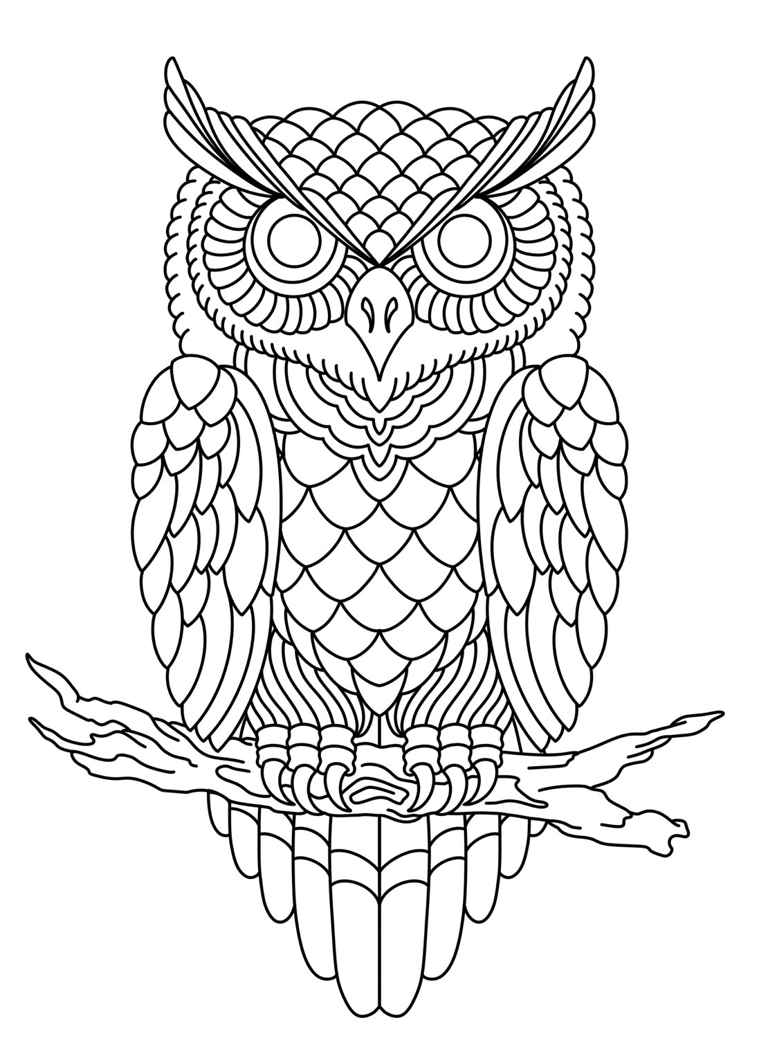 Owl 001 Classic Traditional leather tooling pattern clean linework by 21GRAMS